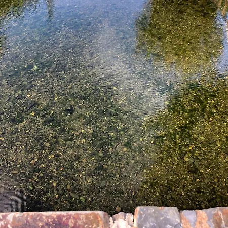 Dom wakacyjny Casa Do Judas *